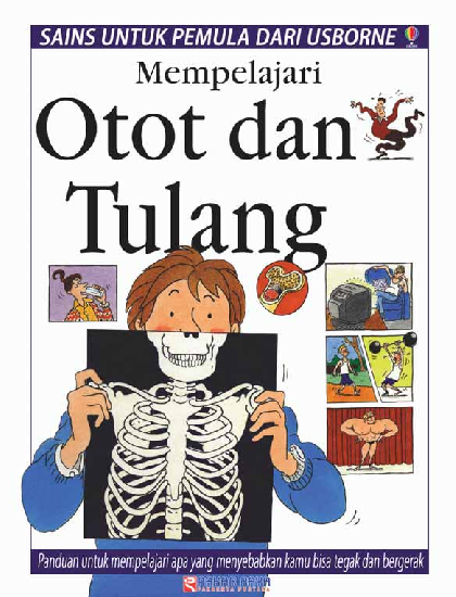 Sains untuk Pemula: Mempelajari Otot dan Tulang