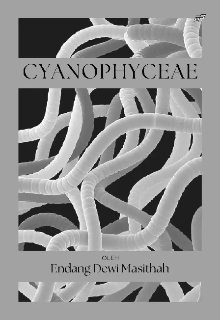 CYANOPHYCEAE