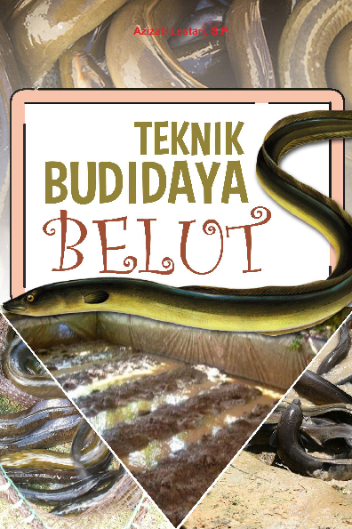 Teknik Budidaya Belut