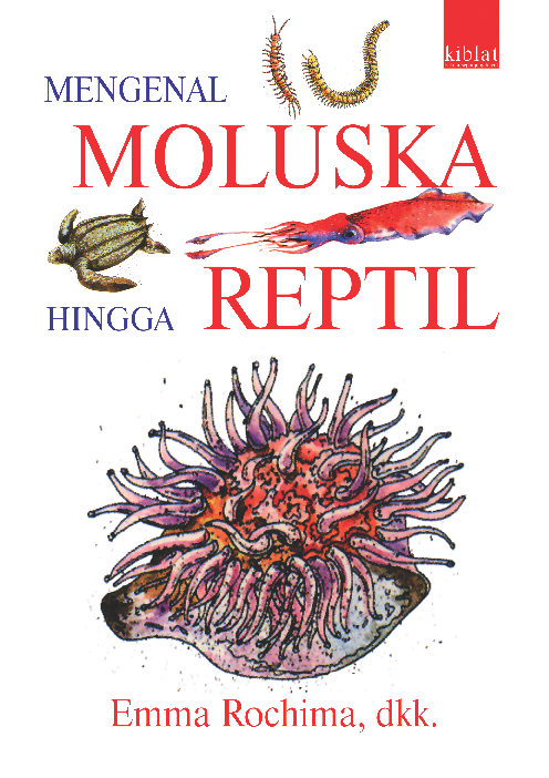 Mengenal Moluska hingga Reptil