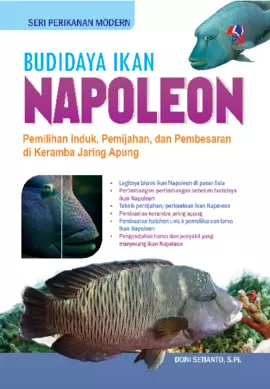 SPM : Budidaya Ikan Napoleon