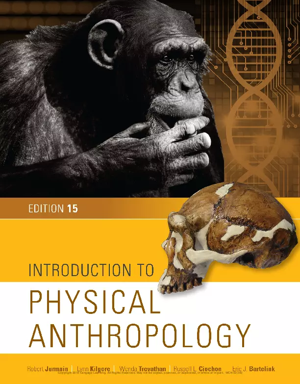 Introduction to Physical Anthropology