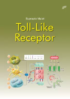 Toll-like Receptor (TLR)