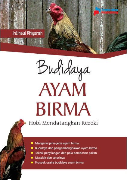 Budidaya Ayam Birma: Hobi Mendatangkan Rezeki