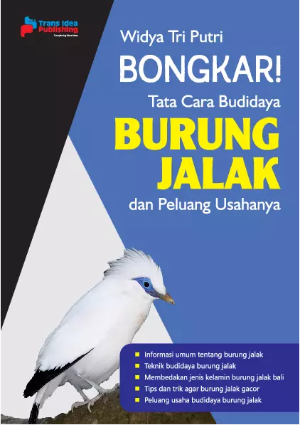 Bongkar! Tata Cara Budidaya Burung Jalak dan Peluang Usahanya