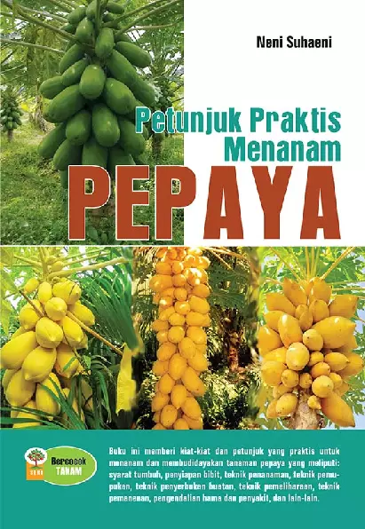 Petunjuk Praktis Menanam Pepaya