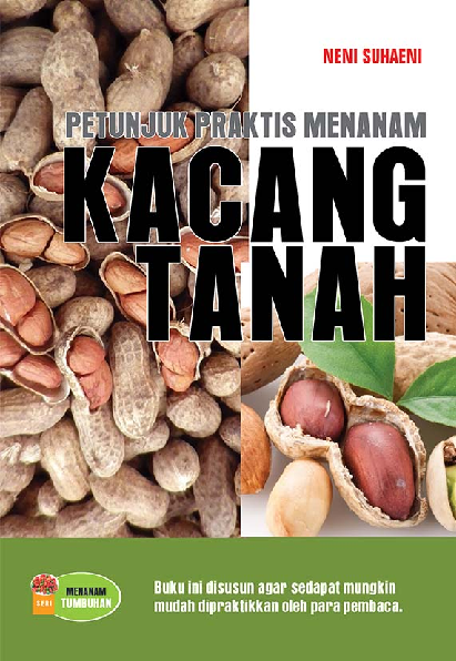 Petunjuk Praktis Menanam Kacang Tanah