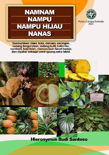 Namnam, Nampu, Nampu hijau,Nanas