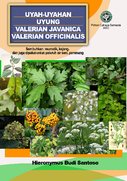 Uyah-uyahan, Uyung, Valerian javanica, Valeria officinalis