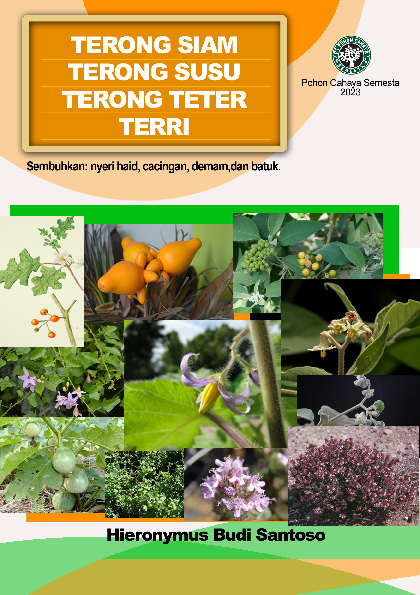 Terong siam, Terong susu, Terongteter, Terri