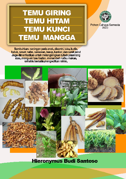 Temu giring, Temu hitam, Temu kunci, Temu mangga