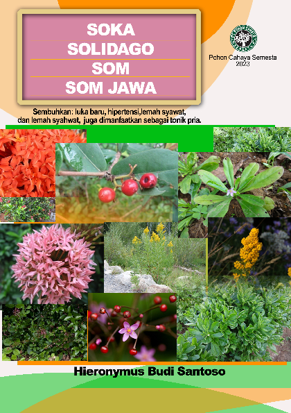 Soka, Solidago, Som talinum, Somjawa