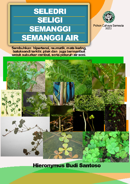 Seledri, Seligi, Semanggi, Semanggi air