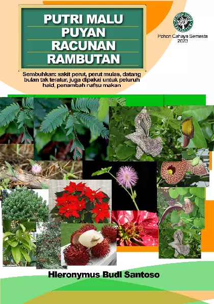 Putri malu, Puyan, Racunan,Rambutan