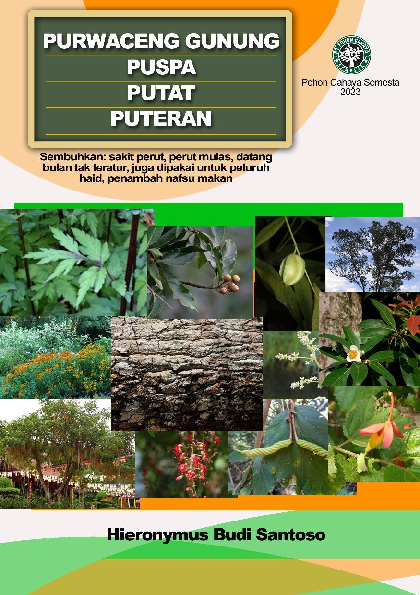 Purwaceng gunung, Puspa, Putat,Puteran