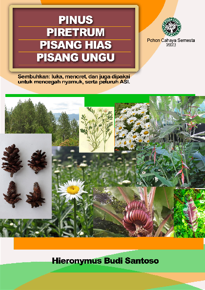 Pinus, Piretrum, Pisang hias, Pisangungu