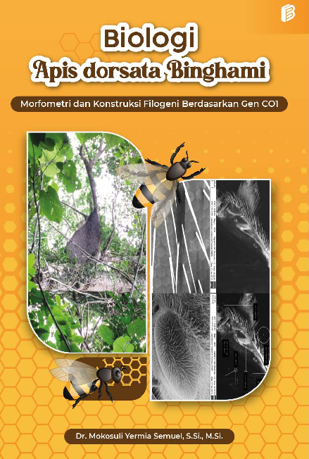 Biologi Apis dorsata Binghami : (Morfometri dan Konstruksi Filogeni Berdasarkan Gen CO1)