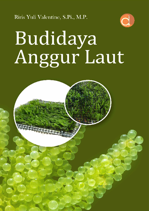 Budidaya Anggur Laut