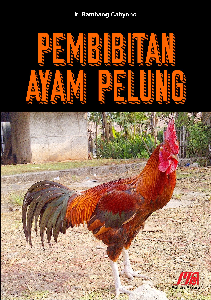 Pembibitan ayam pelung