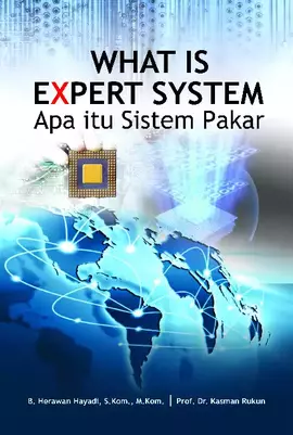 What is Expert System