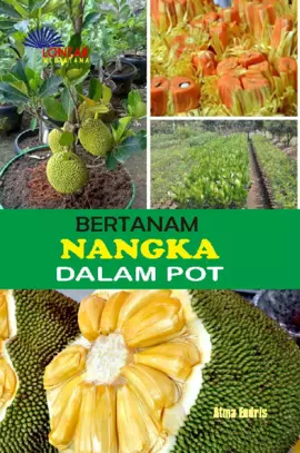 Bertanam Nangka dalam Pot