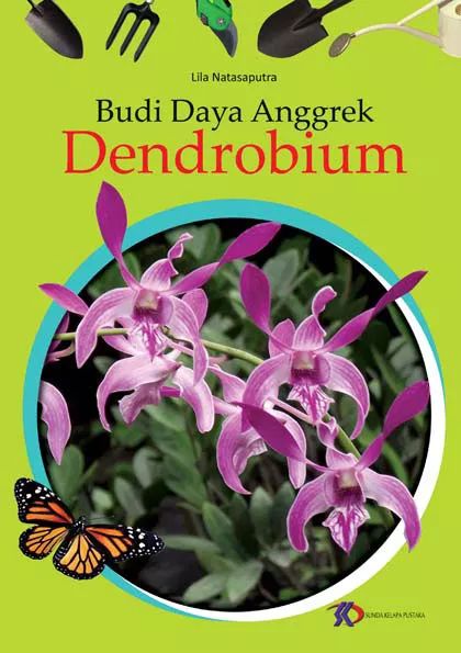 Budi Daya Anggrek Dendrobium