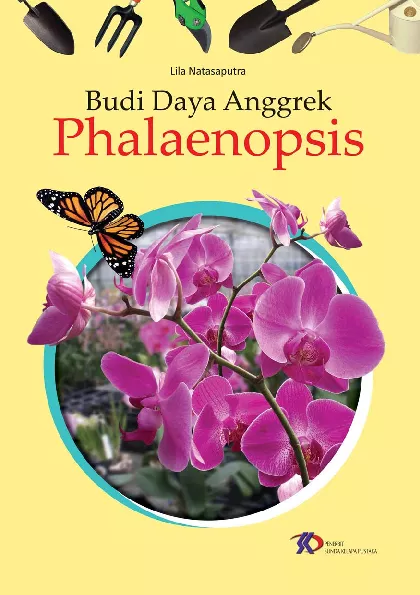 Budi Daya Anggrek Phalaenopsis