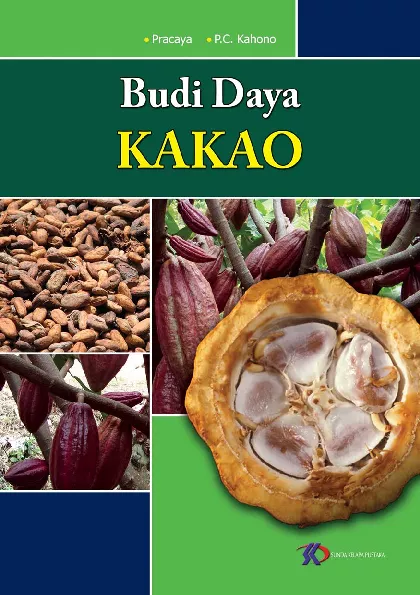 Budi Daya Kakao