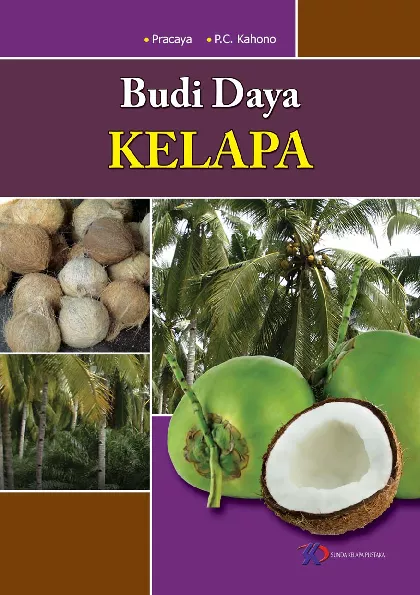 Budi Daya Kelapa