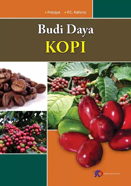 Budi Daya Kopi