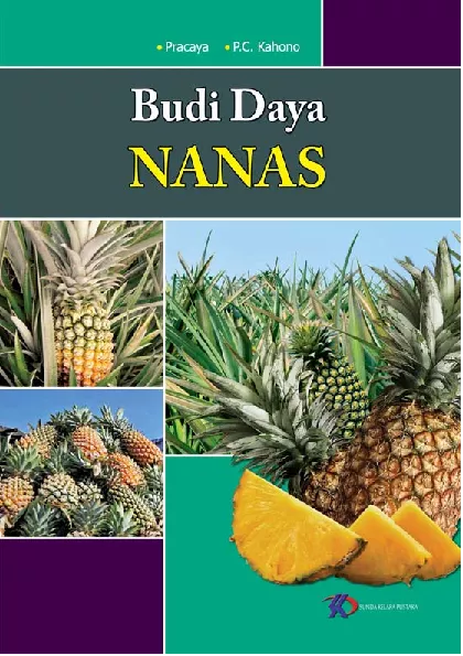 Budi Daya Nanas