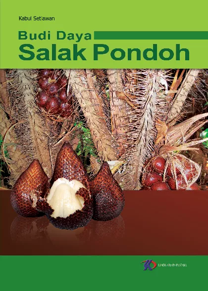 Budi Daya Salak Pondoh