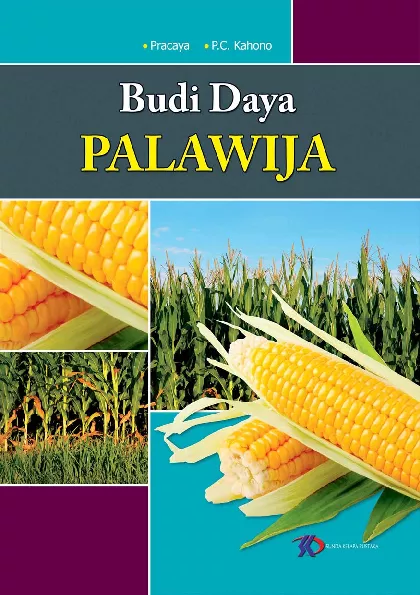 Budidaya Palawija