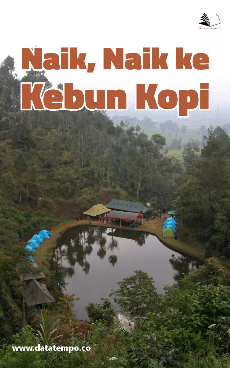 Naik, Naik ke Kebun Kopi