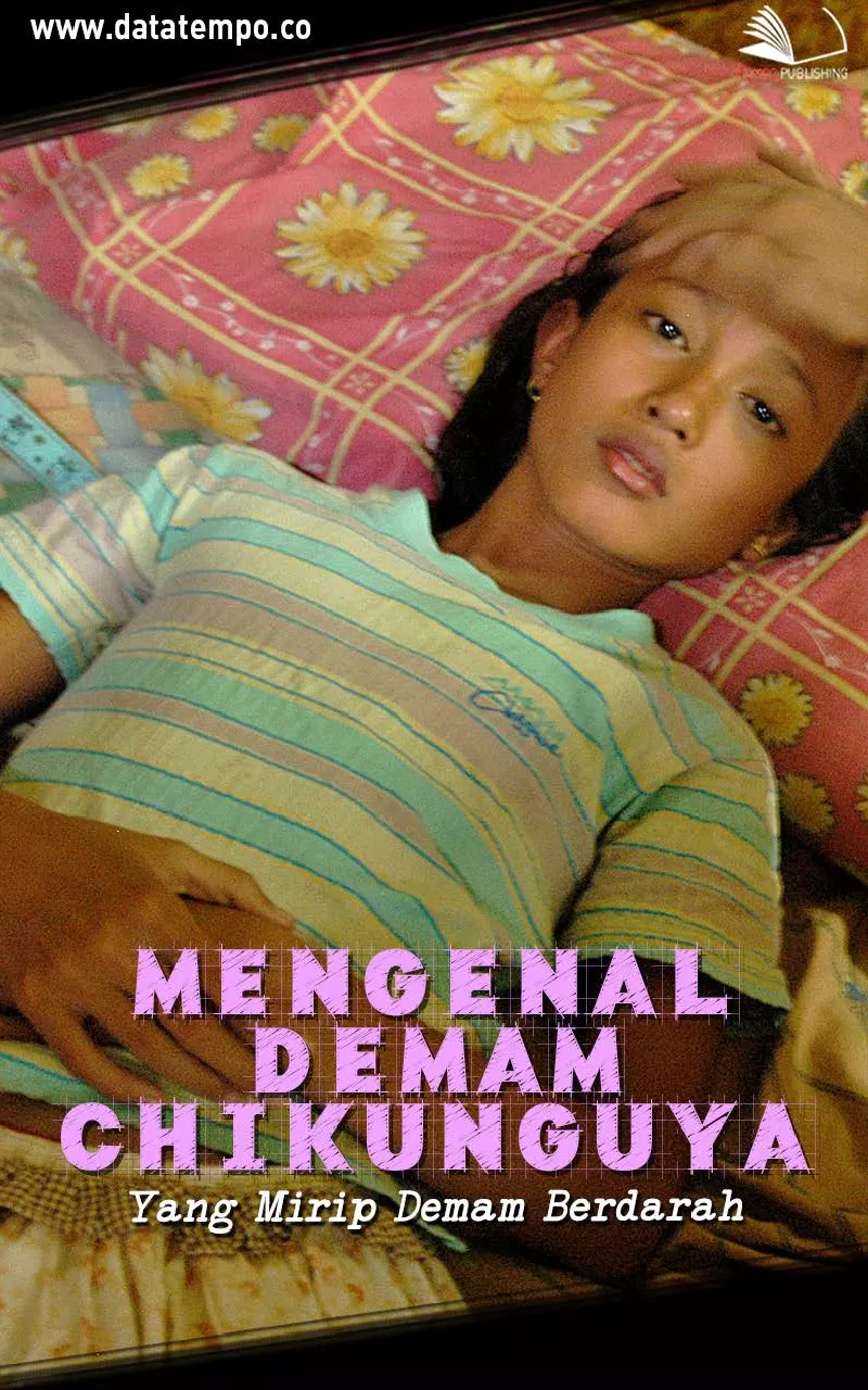 Mengenal Demam Chikunguya Yang Mirip Demam Berdarah