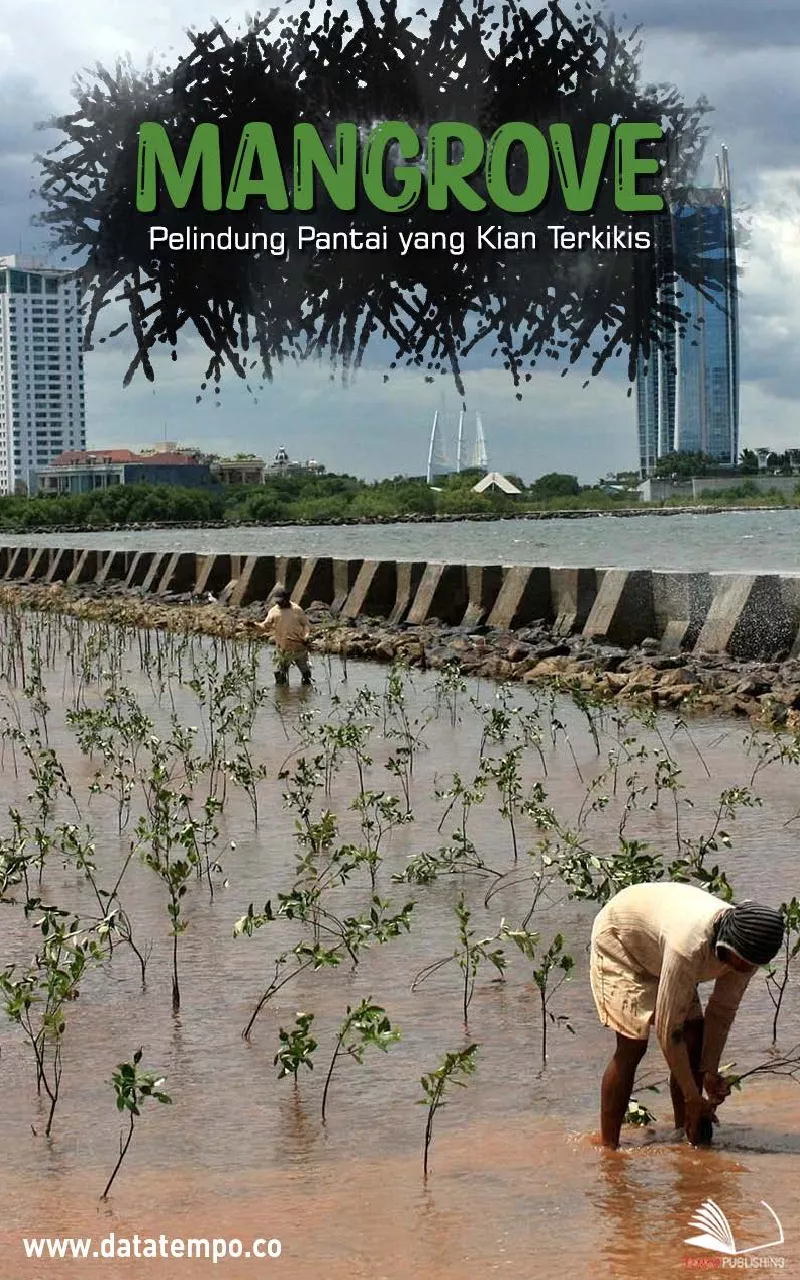 Mangrove, Pelindung Pantai yang Kian Terkikis