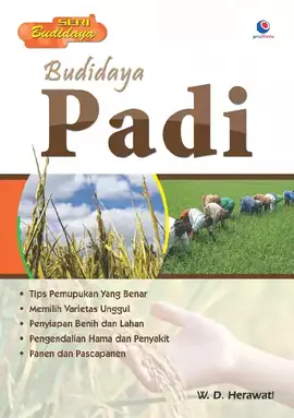 Budidaya Padi