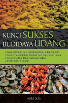 Kunci Sukses Budi Daya Udang