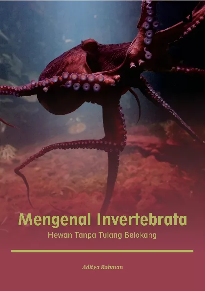 Mengenal Invertebrata: Hewan Tanpa Tulang Belakang