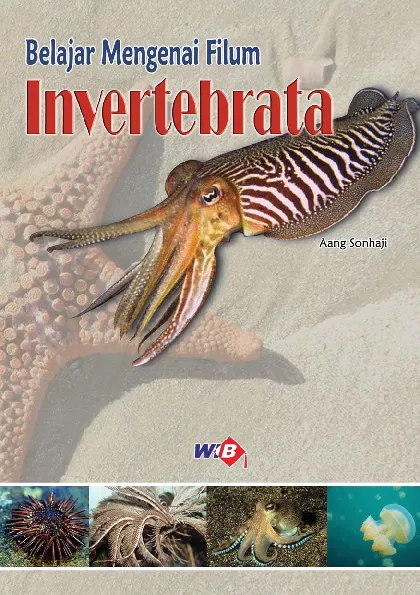 Belajar Mengenai Filum Invertebrata