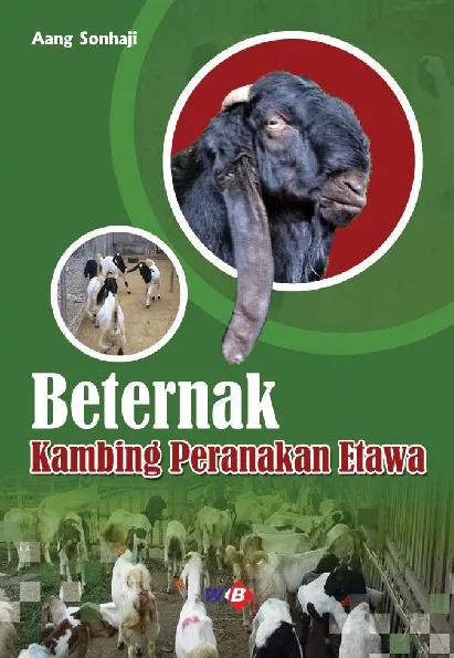 Beternak Kambing Peranakan Etawa