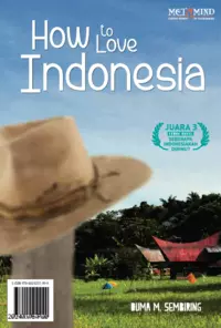 How to Love Indonesia