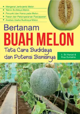 Bertanam Buah Melon: Tata Cara Budidaya dan Potensi Bisnisnya