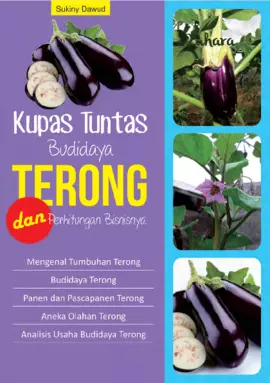 Kupas Tuntas Budidaya Terong dan Perhitungan Bisnisnya