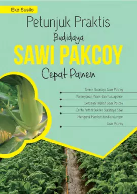 Petunjuk Praktis Budidaya Sawi Pakcoy Cepat Panen