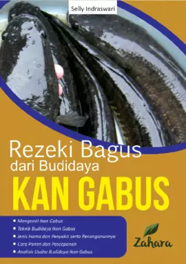 Rezeki Bagus dari Budidaya Ikan Gabus