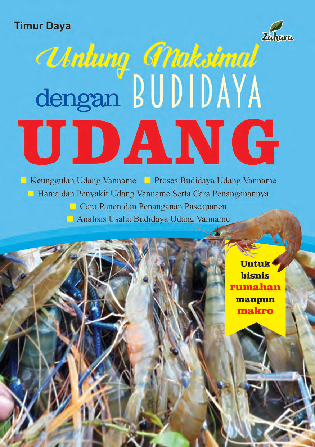 Untung Maksimal dengan Budidaya Udang