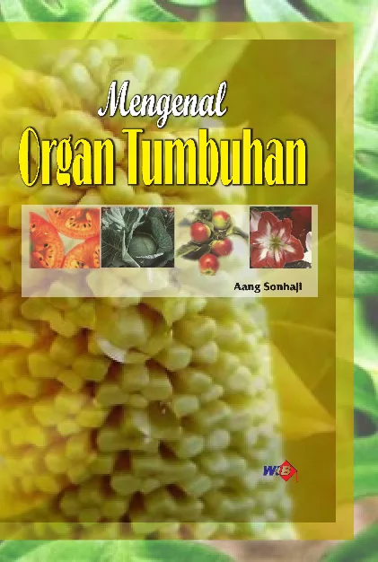 Mengenal Organ Tumbuhan