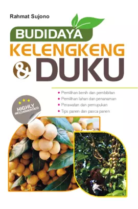 Budidaya Kelengkeng & Duku