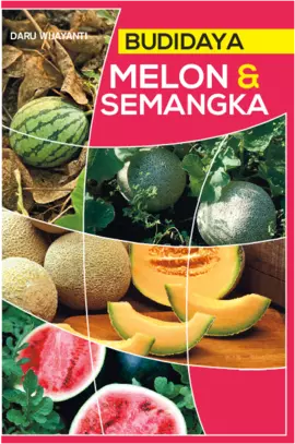 Budidaya Melon & Semangka